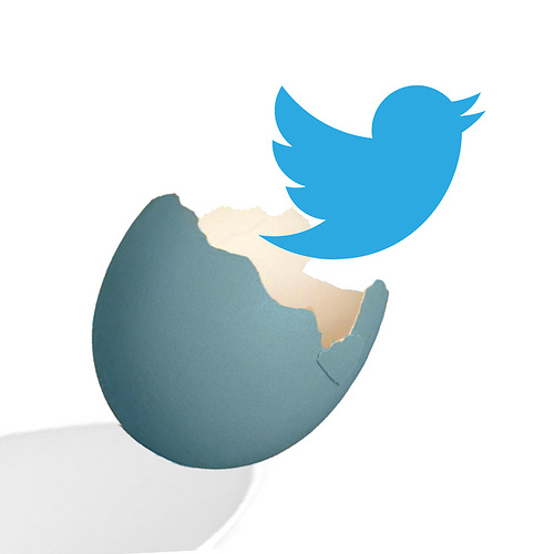 Twitterにプラグインのコードが表示されてしまった
