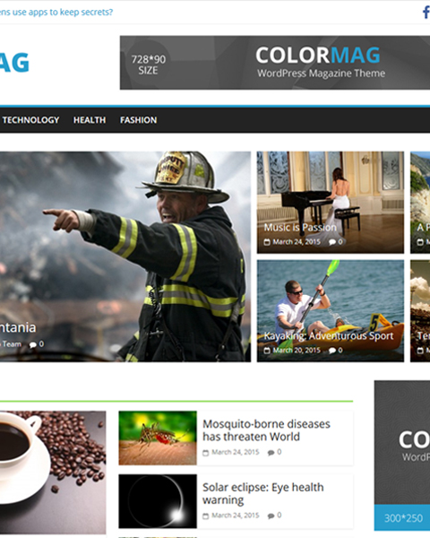 WordPress：theme ColorMag
