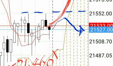 トレード:日経ミスオーダーの行方