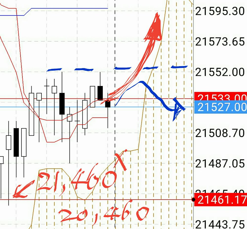 トレード：日経ミスオーダーの行方