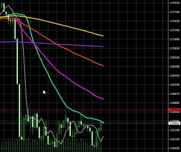 EA作成メモ：急騰急落対応機能